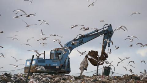 Gulls flying round a digger against the skyline on a rubbish tip in Norfolk, UK.