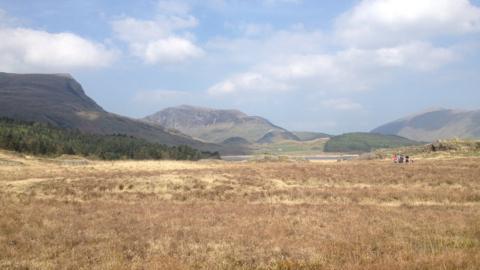 Peatlands at Rhyd Ddu, Snowdonia