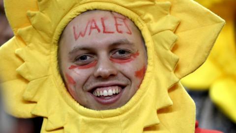 Wales fan in a daffodil