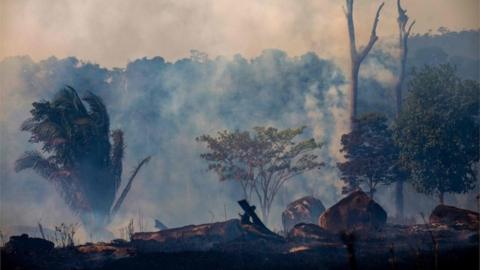 forestfire in para state