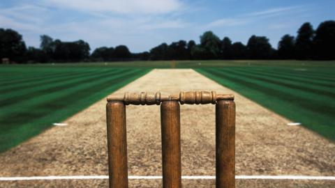 Cricket pitch