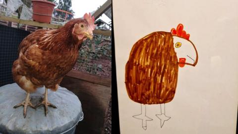 A hen next to a badly drawn one