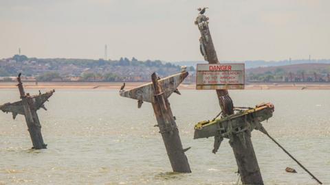 Seabirds perch on the exposed masts of the SS Richard Montgomery in the Thames Estuary