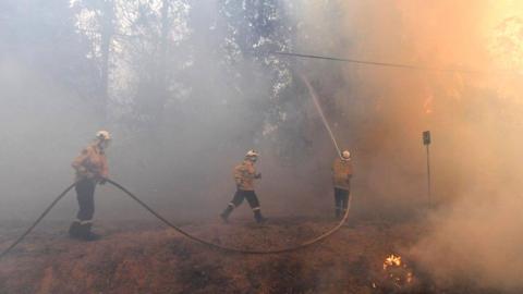 Firefighers, NSW, 19 Dec