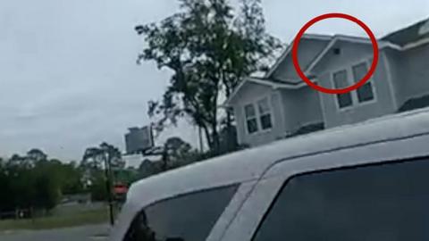 Acorn falling on police car