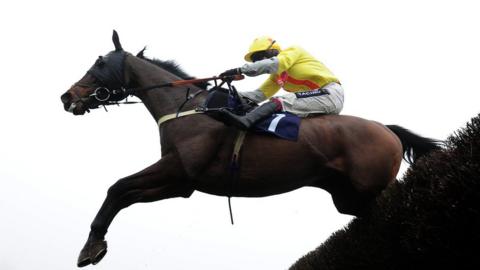 Horse jumps a hurdle at Chepstow Racecourse