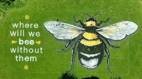 Bee artwork shown from above