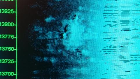 Multibeam data showing wreck