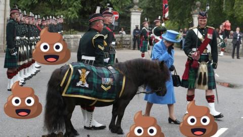 Queen pictures with Shetland pony and lots of poo emojis