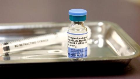 measles vaccine