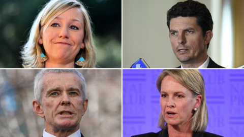 A composite image of ineligible senators Larissa Waters, Scott Ludlam, Fiona Nash and Malcolm Roberts