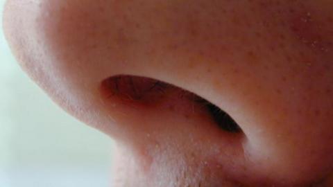 Close up of a nose
