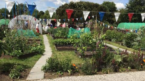 Allotment holders having a celebration at Weelsby Allotments, there is red, white and blue bunting up and people can be seen gathering in the allotments and polytunnels. There are flower beds, plants growing, grass and small trees in the foreground.