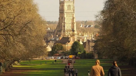 Image of Broad Avenue in Cirencester Park, looking down to a large church in the background and the park with horse chestnut trees either side of the walk way through a field. 