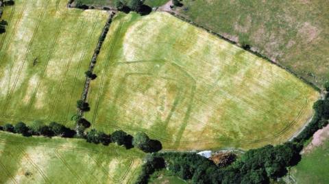 A previously unrecorded Iron Age or Romano-British double-ditched farmstead revealed in ripening cropmarks near Llandysul, south Ceredigion (15 July 2026). Picture shows patches of brown crop fields and come greenery around the corners.