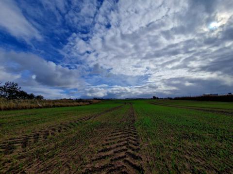 Culbokie, Highland