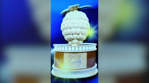 An award in the shape of a golden raspberry on a circular platform