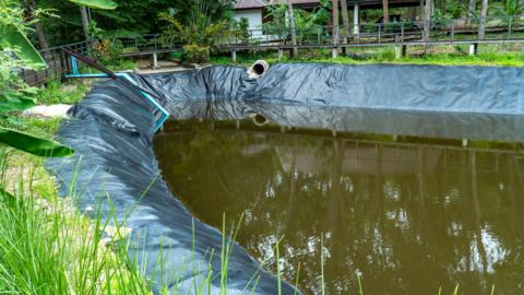 The image shows a reservoir of water with black plastic lining along the edges.