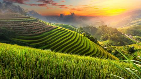 Mu Cang Chai Rice Field Terraces, Vietnam
