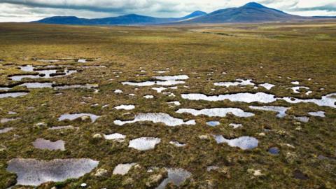 Wild, mossy peatlands in the north of Scotland