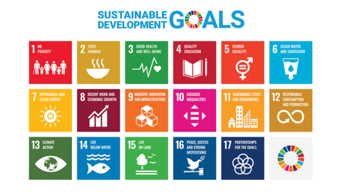 17 UN Sustainable Development Goals named with icons