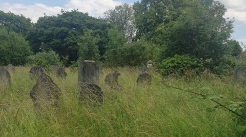 A cemetery with heavily overgrown grass