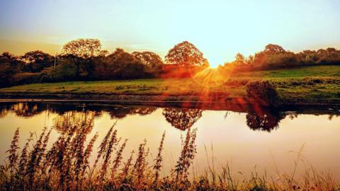 Golden sunlight pokes through the treeline in a rural scene showing a lake in front of a field with shrubbery in the foreground, while the trees are reflected in the water.