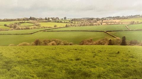 Green fields and hedgerows with properties in the distance 