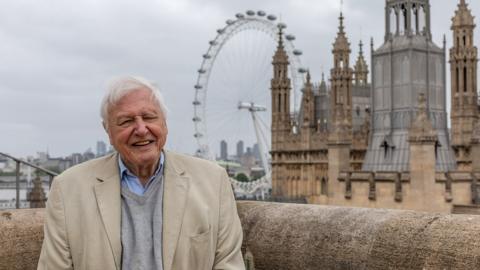 David Attenborough in London. He's standing on one of London's bridges. Behind him are the houses of Parliament and the London Eye