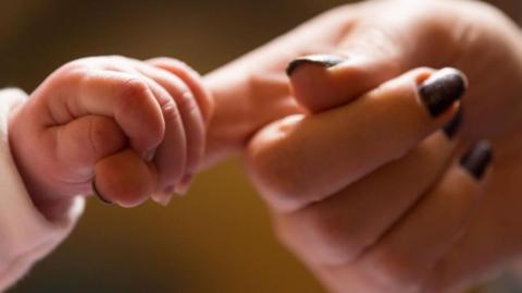 A baby's hand being held 