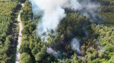 Smoke billowing from a woodland.