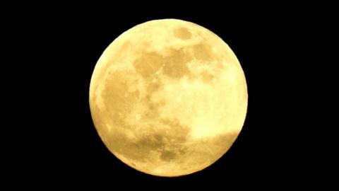 The Moon is bright yellow against a pitch black sky.