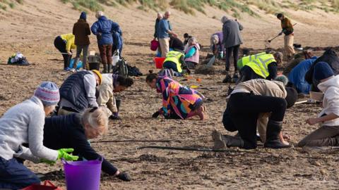 A group of people cleaning up a sandy beach.