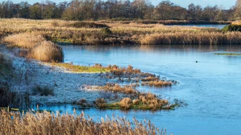 Frost rests on the banks of one of the lakes, which has reed beds and is surrounded by grassland and trees.