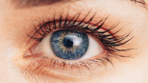 Close up of a healthy eye