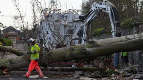 A worker dressed in neon clothing and a helmet surveys a fallen tree which crashed through the wall of Phoenix Park and on to Blackhorse Avenue in Dublin, Ireland.