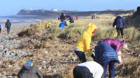 A group of people are walking around in brightly coloured coats, picking up litter on a rocky beach. The headland is in the background and there is long grass in the foreground.