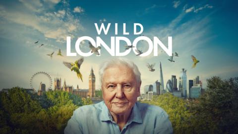 Wild London