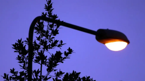 An illuminated street light with a tree in the background at dusk