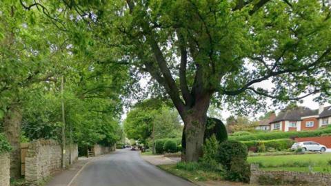 A leafy street shows houses with substantial front gardens and trees and bushes.