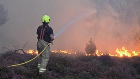A firefighter is holding a yellow hose which is spraying water at heathland which has caught on fire. Grey smoke fills most of the picture.