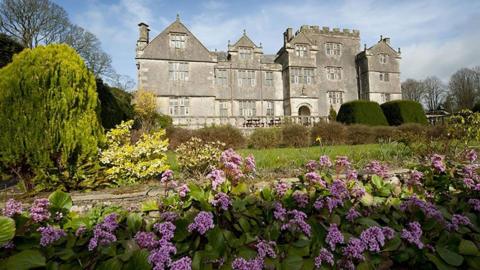 Borwick Hall, a large grey stone manor house with large gardens, the front of which is covered by purple flowers before a sloping lawn. 