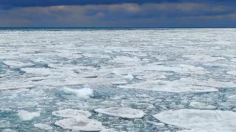 Ice sheets cover lake michigan on a cold, day with a blue sky and a string of clouds in the distance.