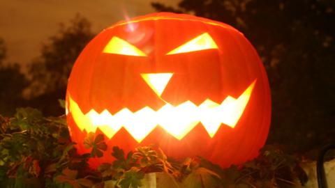 A lit-up carved pumpkin with a zig-zag mouth and triangles for its eyes and nose sat within a field