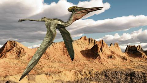 Pterosaur flying over a desert