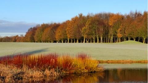 An expanse of green with crimson reeds and an expanse of water in front and autumnal coloured trees behind under a blue sky