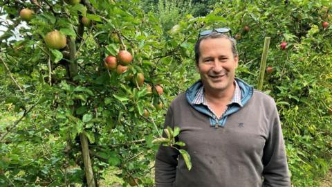 Jonathan Hoskyns wearing a grey jumper stood in his orchard next to an apple tree bearing around nine apples