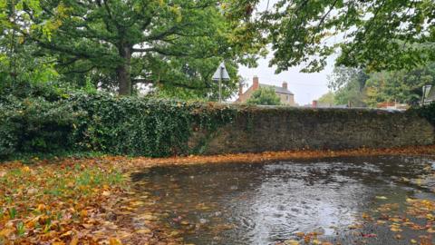 A large puddle surrounded by fallen brown leaves. Behind there is a stone wall with ivy growing on it. On the other side of the wall is a large tree with green leaves and in the distance is a brick house with chimneys. The sky overhead is grey and you can see it is raining.