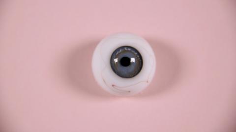 An life-like glass eyeball