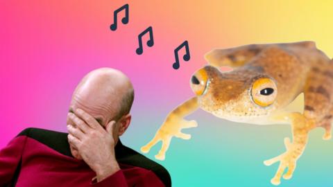 Star Trek's Picard next to a singing frog.